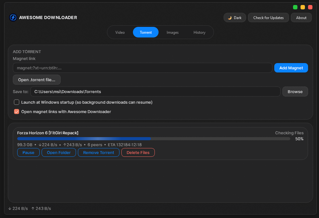 Torrent tab — magnet links, file selection, progress and peer info