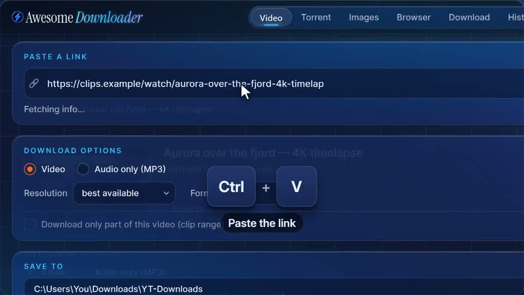 The Video tab reading a pasted link and listing each resolution with its file size